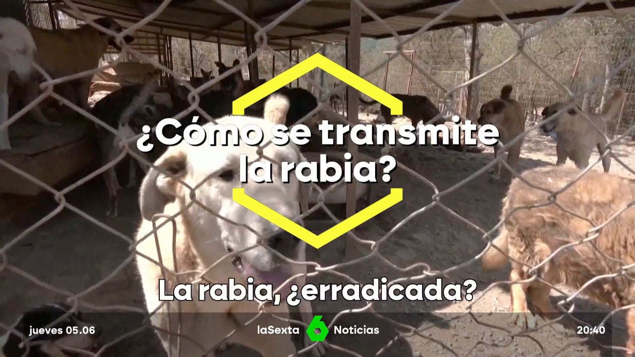 An eradicated disease in Spain but present in 160 countries
