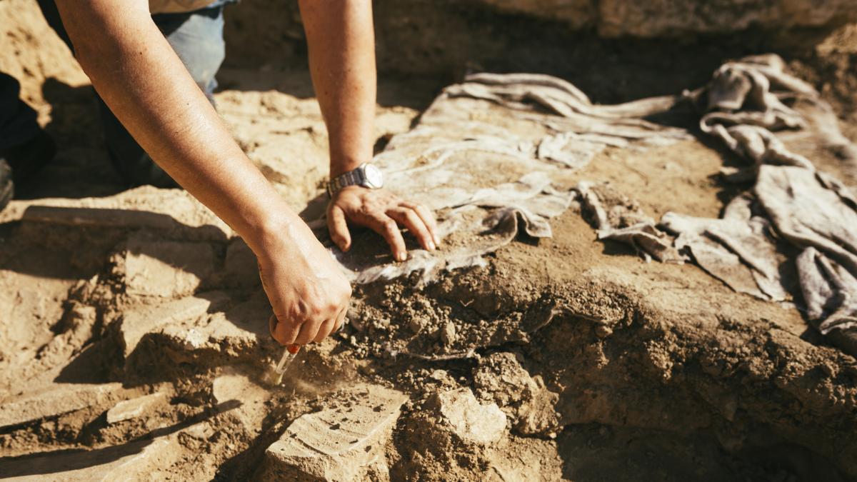 An owner discovers a Roman gallery in his basement and quickly declare the land as an archaeological zone